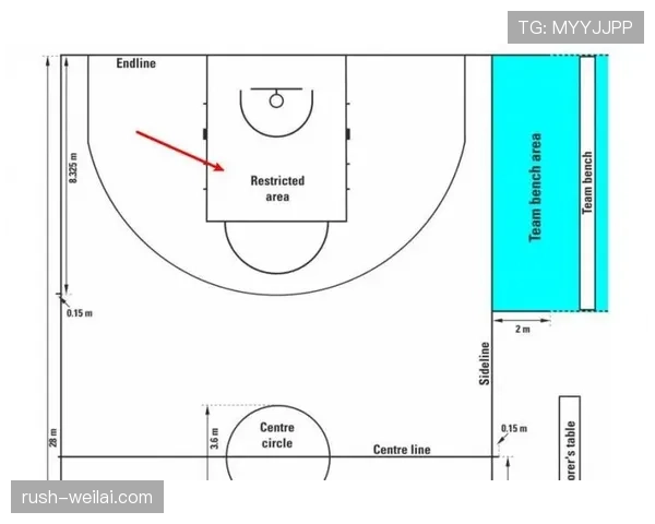 FIBA和NBA规则区别：深入解析国际与职业联赛差异