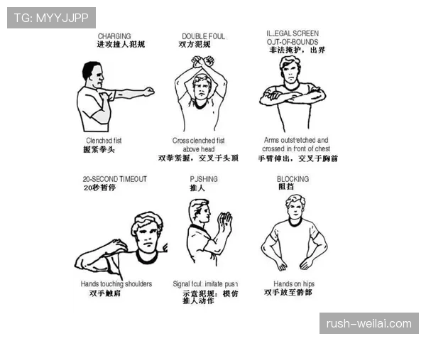 篮球裁判必看：八秒违例的认定标准与实战判罚要点