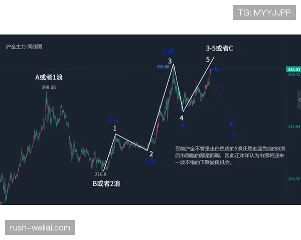 纽卡斯尔联争四形势面临考验，竞争格局持续调整影响赛季走势
